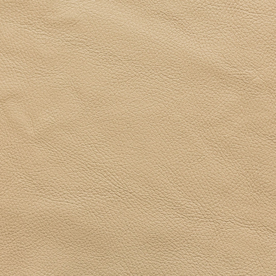 Кожа натуральная Dollaro L Beige