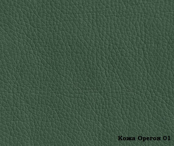 Кожа искусственная Oregon 01